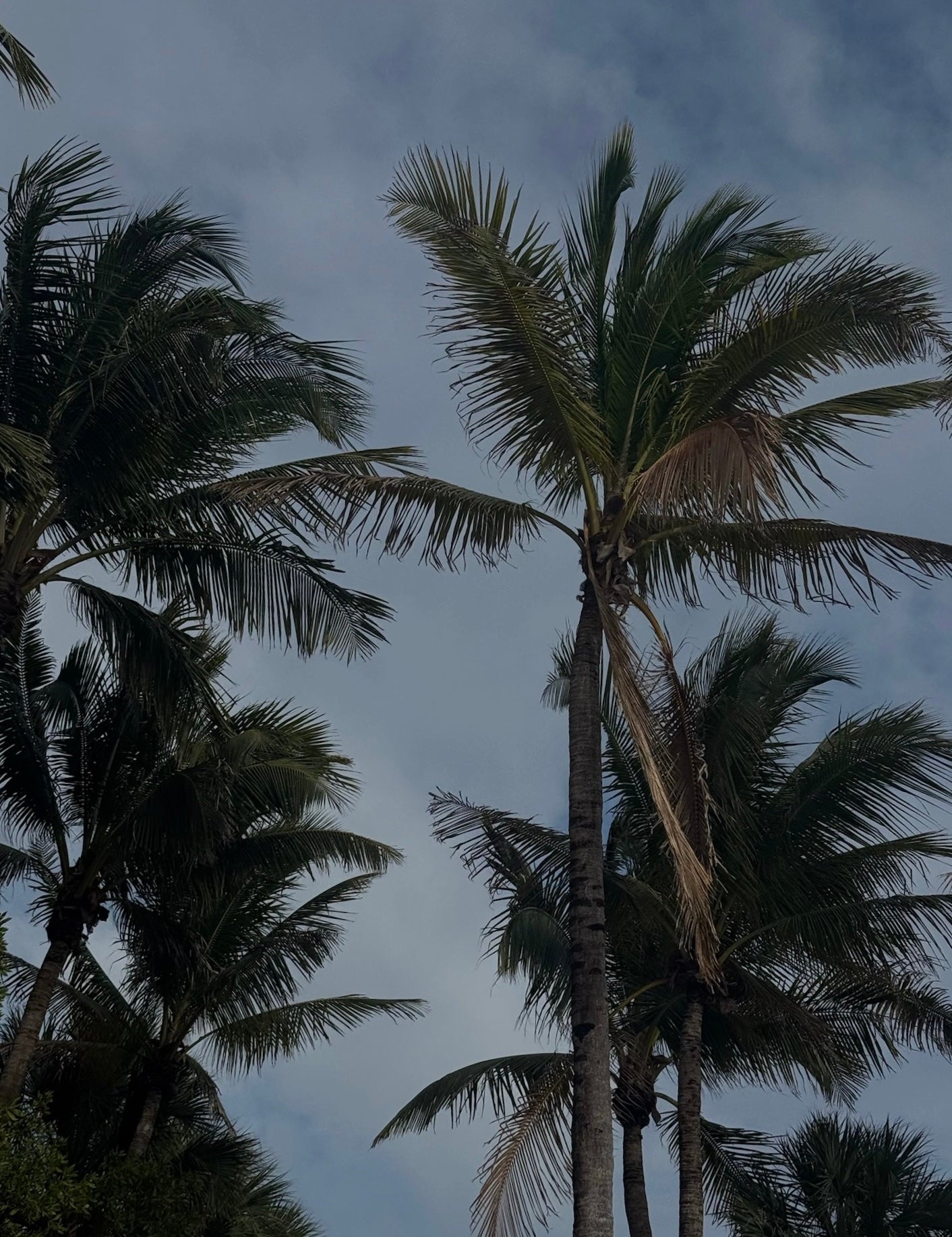 Travel Series: Miami Beach With Gracie Palamara