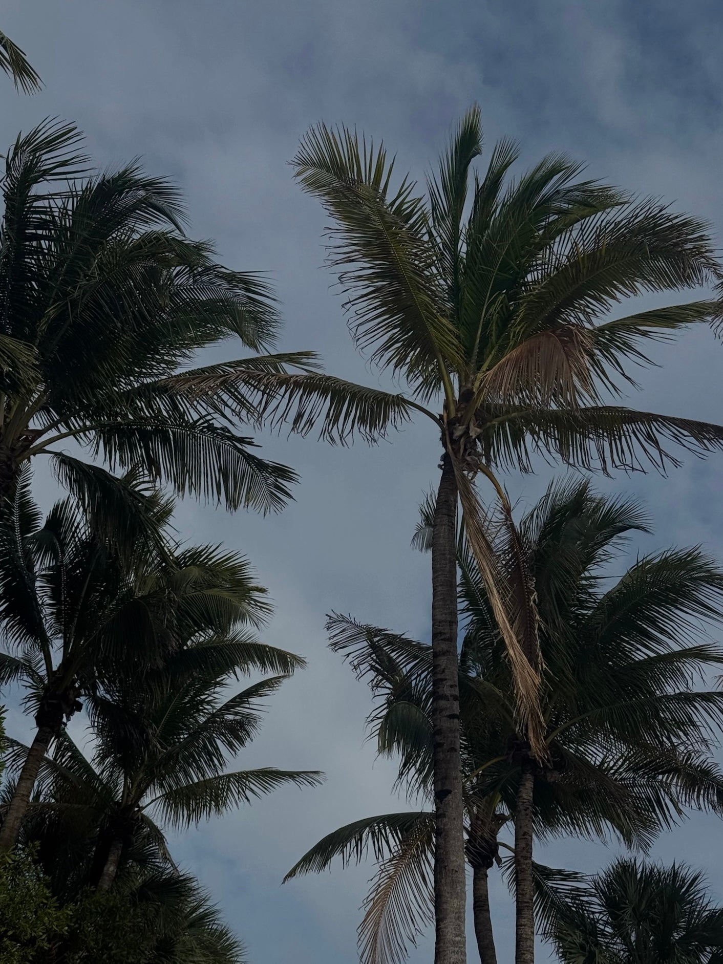 Travel Series: Miami Beach With Gracie Palamara